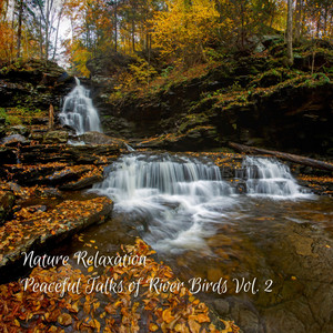 Nature Relaxation: Peaceful Talks of River Birds Vol. 2 album