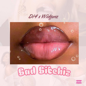 Bad Bitchiz by D14, Widgunz