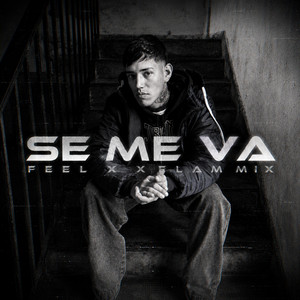 SE ME VA by FEEL, ELAM MIX