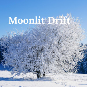 Moon Drift by Prophet of the Melody