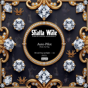 Paq - Auto-Pilot (feat. SHATTA WALE)