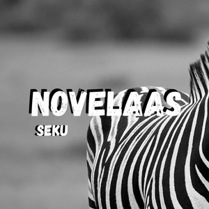 NOVELAAS by Seku