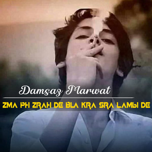 Damsaz Marwat - Saber Sha Zargya Yar Me Bal Derta Mondali Da