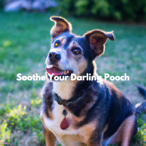 Soothe Your Darling Pooch album