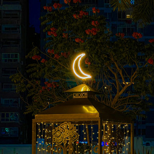 الشيخ علي محمد علي - اللهم بلغ اخي الغالي شهر رمضان