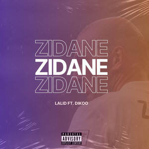 Zidane by Lalid, Dikoo