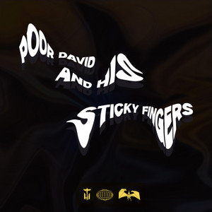 Poor David and His Sticky Fingers by Thriftworks
