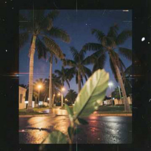 Date Palm kfea by Cyberpunk District