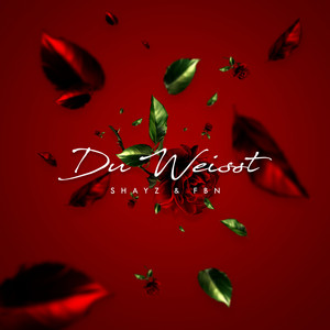 Du weißt by Shayz, FBN