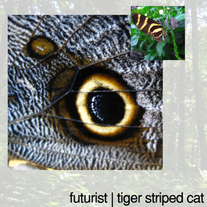 Tiger Striped Cat