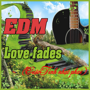 Tan Luc tv - Love fades