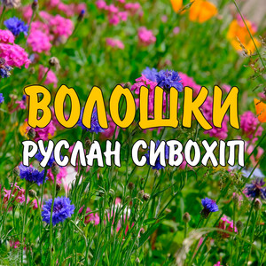 Обкладинка: Волошки