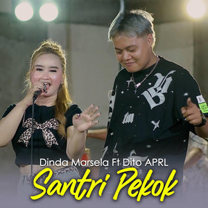 Dinda Marsela - Santri Pekok (feat. Dito Aprl)