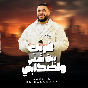 غريب بين اهلى واصحابى