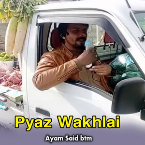 Ayam Said btm - Pyaz Wakhlai