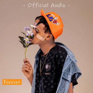 Danny Dollar - FOREVER