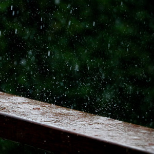 Summer Blissful Summer Rain Sounds for Relaxation & Meditation album