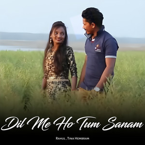 Dil Me Ho Tum Sanam