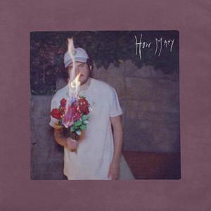 How Many by Shoffy