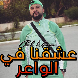 Cheb Momo - عشقنا في الواعر