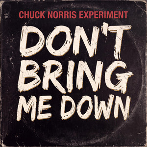 Don't Bring Me Down by The Chuck Norris Experiment