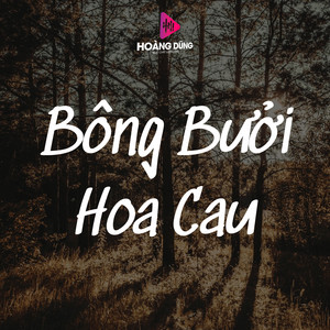 Thanh Ngan - Vọng Kim Lang