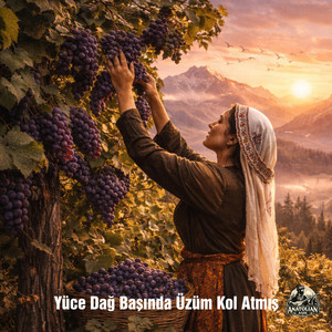 Yüce Dağ Başında Üzüm Kol Atmış by Anatolian Aşık