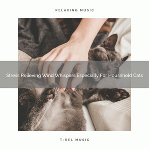 Stress Relieving Wind Whispers Especially For Household Cats album