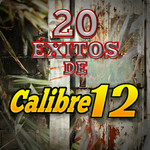 El Tejocote - En Vivo