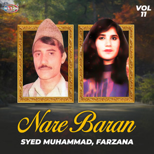 Syed Muhammad & Farzana - Instrumental