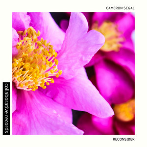Reconsider by Cameron Segal