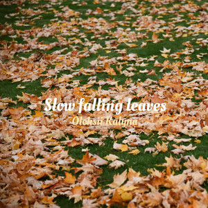 Slow falling leaves