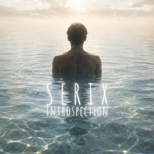 Introspection by Serix, Psyfeature