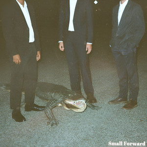 Bloodhounds by Small Forward