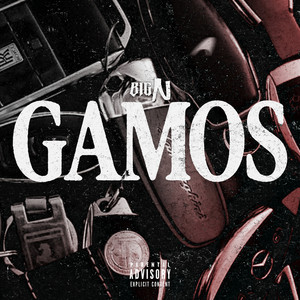 GAMOS by BIG N