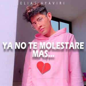 Elias Ayaviri - Ya no te molestare mas