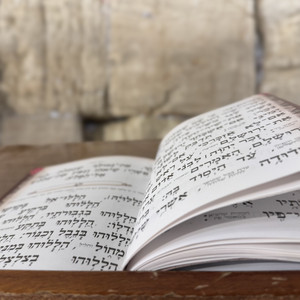 עוד אחד נתפר by נוער הגבעות