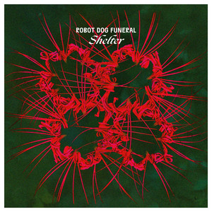 I Wanna Know You Better by Robot Dog Funeral