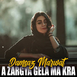 Damsaz Marwat - Cha Main Ph Toro Stargo Da Janan Shwoma