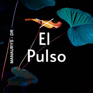 El Pulso by MANAURYS-DR