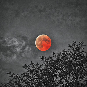 Max Bitov — The Moon