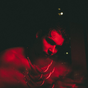 Années Sauvages album