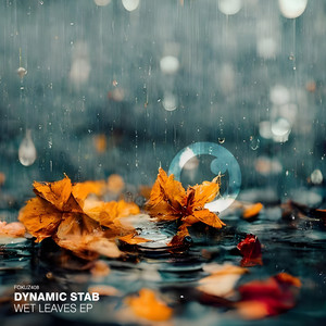 Dynamic Stab — Wet Leaves EP (2026)