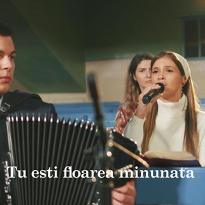 Tu esti floarea minunata