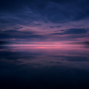 Night Pollen by Blank Atlas