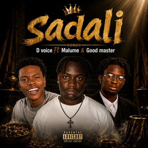 Sadali by Goodmaster255, D Voice, Malume