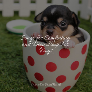 Songs for Comforting and Deep Sleep For Dogs album