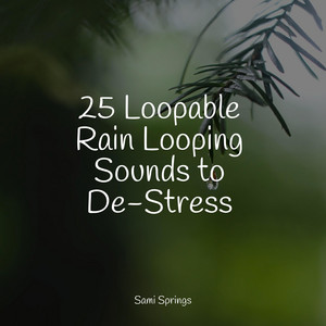 25 Loopable Rain Looping Sounds to De-Stress album
