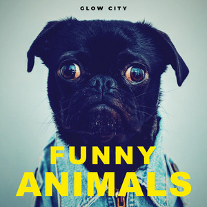 Glow City - Funny Animals