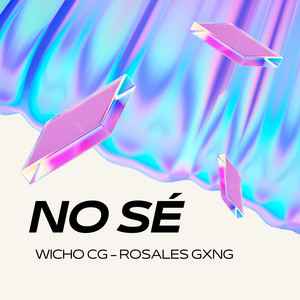 NO SÉ by Wicho CG